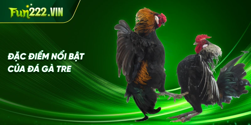 Đặc Điểm Nổi Bật Của Đá Gà Tre