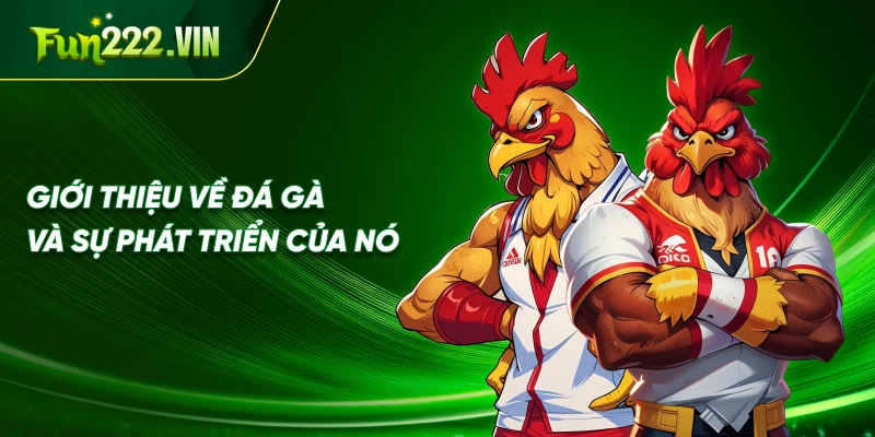 Giới thiệu về Thuật Ngữ Đá Gà và sự phát triển của nó
