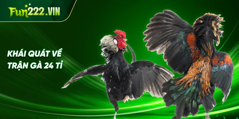 Khái Quát Về Trận Gà 24 Tỉ