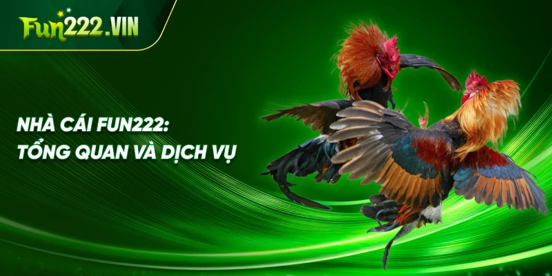 Nhà cái Fun222: Tổng quan và dịch vụ