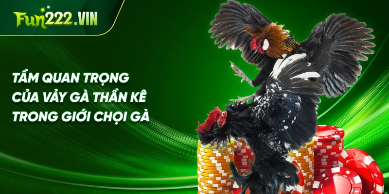 Tầm Quan Trọng của Vảy Gà Thần Kê Trong Giới Chọi Gà